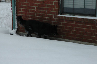 DSC_0047.jpg