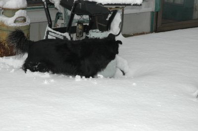 DSC_0048.jpg
