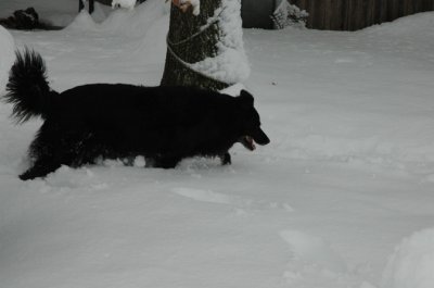 DSC_0049.jpg