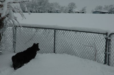 DSC_0051.jpg