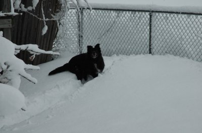 DSC_0052.jpg