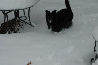 DSC_0053.jpg