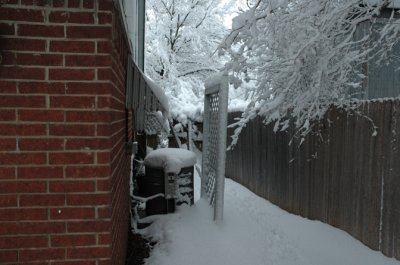 DSC_0054.jpg