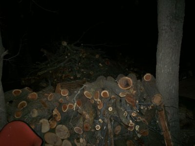 pileowood.jpg