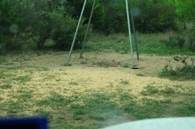 DSC_0007.jpg