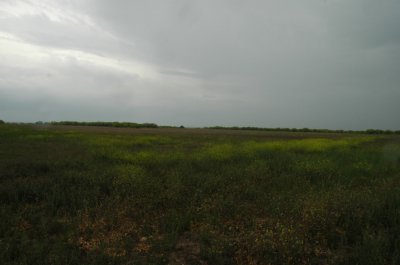 DSC_0012.jpg