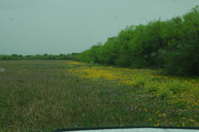 DSC_0013.jpg