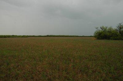 DSC_0015.jpg