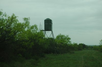 DSC_0024.jpg