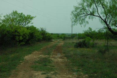 DSC_0026.jpg