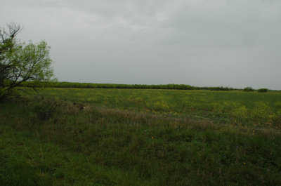 DSC_0028.jpg