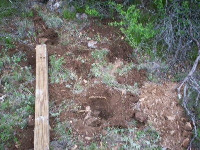 100_3093.JPG