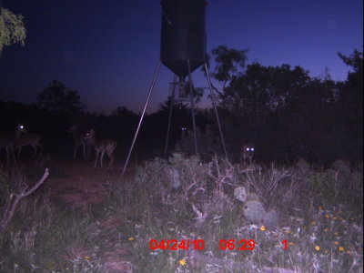 ICAM0006.JPG