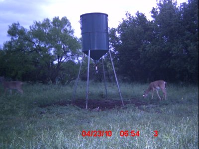 ICAM0004.JPG