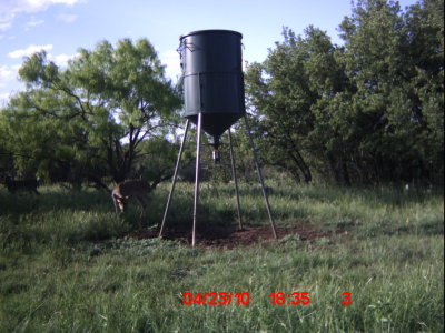 ICAM0005.JPG