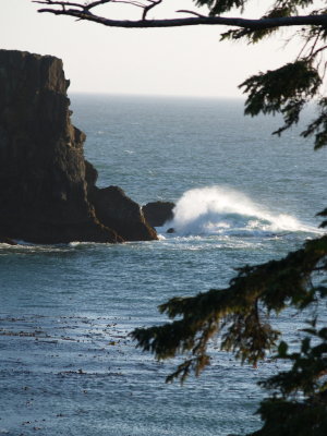 Pirates Cove