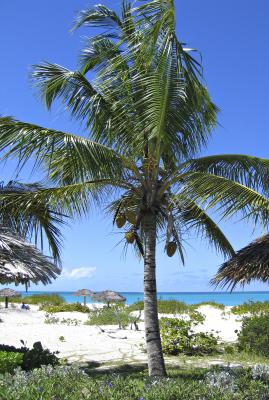 Turks & Caicos