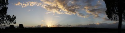 Sugar Cane Sunrise pano.jpg