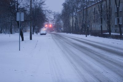 IMG_7329.jpg
