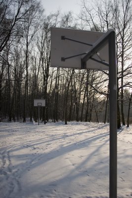 IMG_7307.jpg