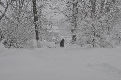DSC_9475.JPG