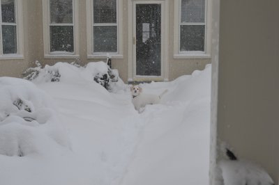 DSC_9478.JPG