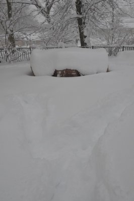 DSC_9482.JPG