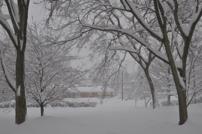 DSC_9489.JPG