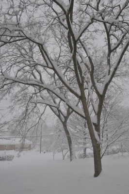 DSC_9490.JPG
