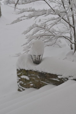 DSC_9494.JPG