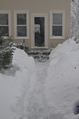 DSC_9508.JPG