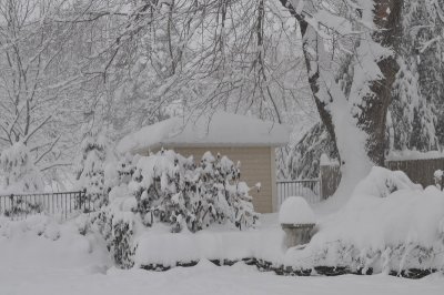 DSC_9515.JPG