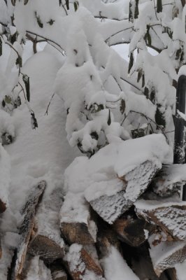 DSC_9522.JPG