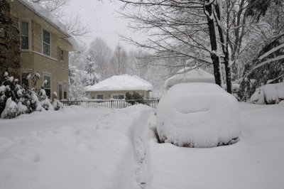 DSC_9540.JPG