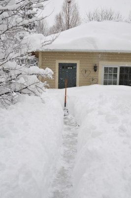 DSC_9570.JPG