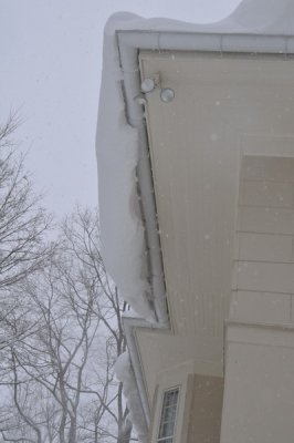 DSC_9573.JPG