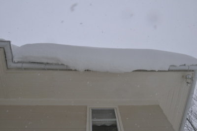 DSC_9579.JPG