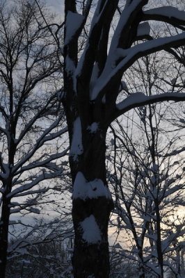 DSC_9627.JPG