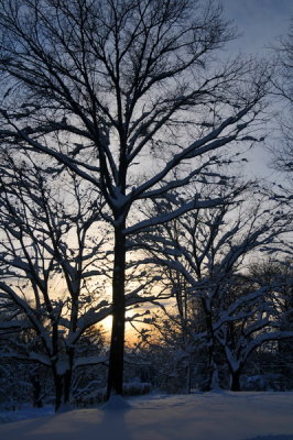 DSC_9633.JPG