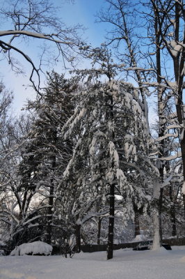 DSC_9636.JPG