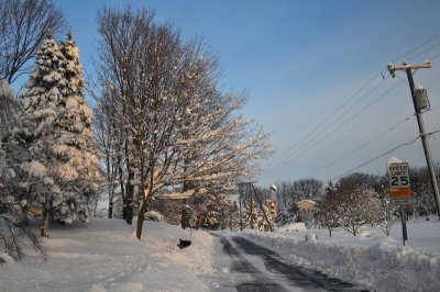 DSC_9638.JPG