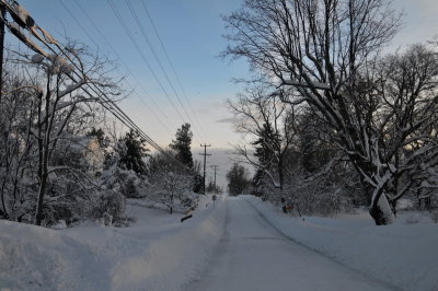 DSC_9648.JPG
