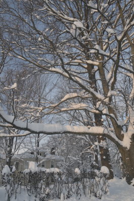 DSC_9651.JPG
