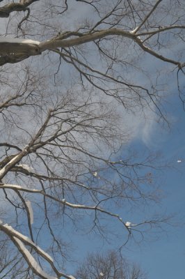 DSC_9673.JPG