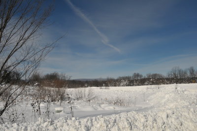 DSC_9691.JPG