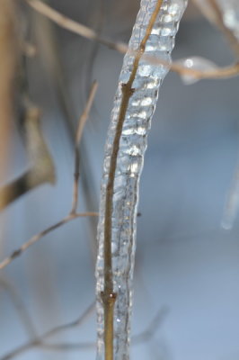 DSC_9774.JPG