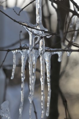 DSC_9778.JPG