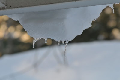 DSC_9786.JPG