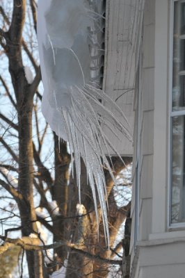 DSC_9787.JPG