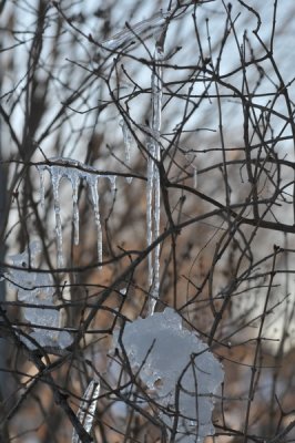 DSC_9789.JPG